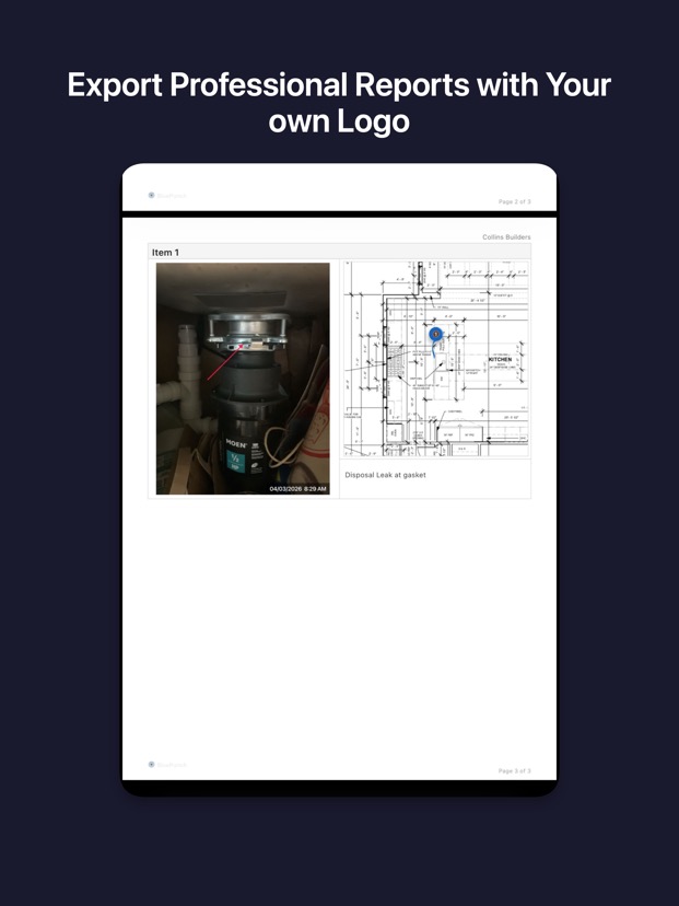 iPad PDF report detail
